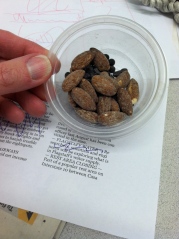 Almonds with chocolate chips